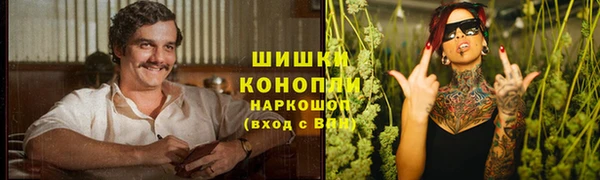 mdpv Горно-Алтайск