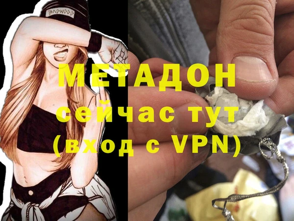 прущие грибы Горняк