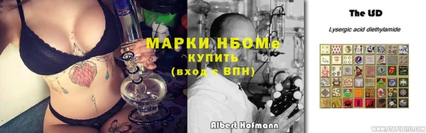 прущие грибы Горняк