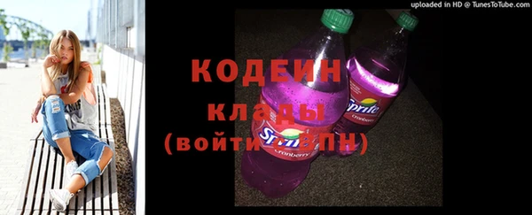 прущие грибы Горнозаводск