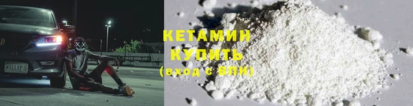 прущие грибы Горняк