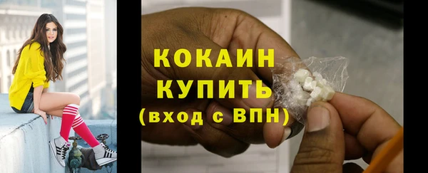 прущие грибы Горнозаводск