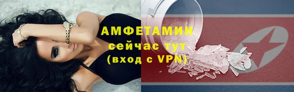 прущие грибы Горнозаводск