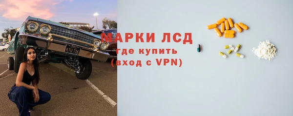 прущие грибы Горнозаводск