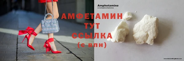 прущие грибы Горняк