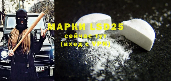 прущие грибы Горнозаводск