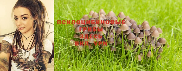 mdpv Горно-Алтайск