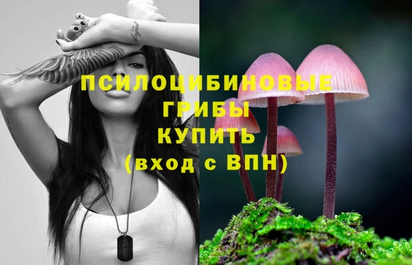 mdpv Горно-Алтайск