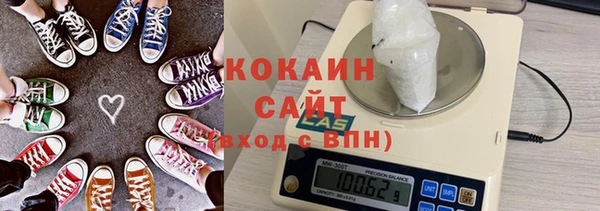 прущие грибы Горняк