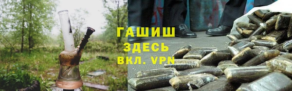 прущие грибы Горнозаводск