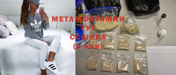 прущие грибы Горняк