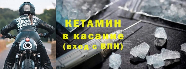 прущие грибы Горняк