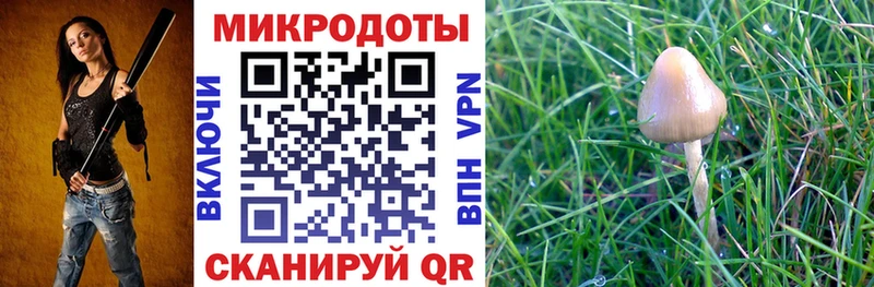 omg tor  Чишмы  Псилоцибиновые грибы Magic Shrooms 
